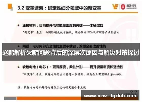 赵鹏解析欠薪问题背后的深层次原因与解决对策探讨 赵鹏解析欠薪问题背后的深层次原因与解决对策探讨