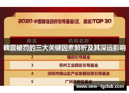 魏震被罚的三大关键因素解析及其深远影响