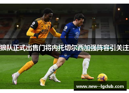 狼队正式出售门将内托切尔西加强阵容引关注
