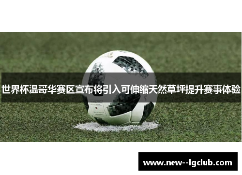 世界杯温哥华赛区宣布将引入可伸缩天然草坪提升赛事体验
